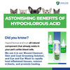 Healers Skin & Coat Grooming Solution
